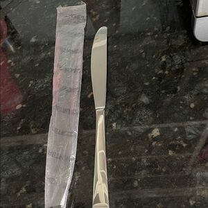 Retroneu ASPEN Stainless Steel Dinner Knife - Polished Finish